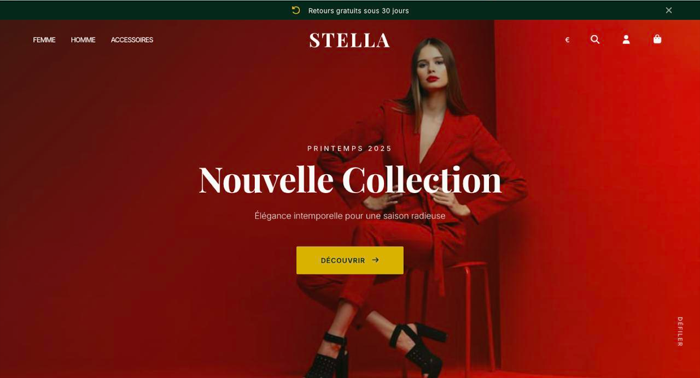 Boutique e-commerce headless premium
